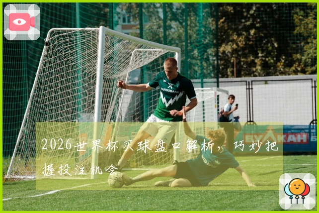 2026世界杯买球盘口解析，巧妙把握投注机会