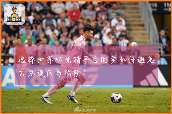 选择世界杯竞猜平台时要如何避免常见误区与陷阱？