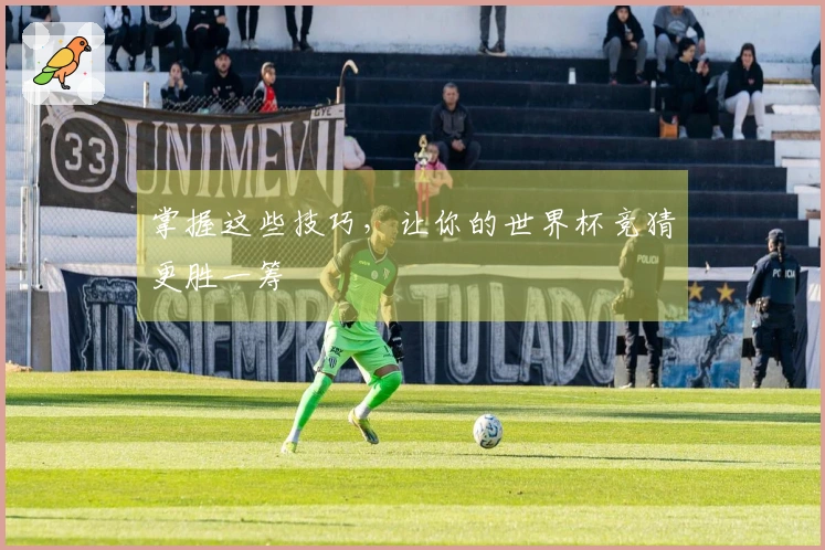 掌握这些技巧，让你的世界杯竞猜更胜一筹
