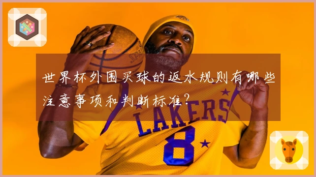 世界杯外围买球的返水规则有哪些注意事项和判断标准？