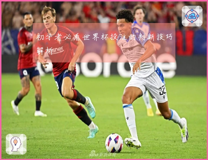 初学者必看世界杯投注的判断技巧解析