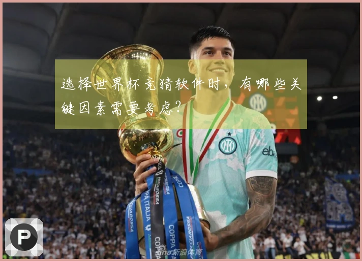 选择世界杯竞猜软件时，有哪些关键因素需要考虑？