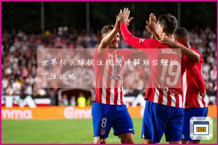 世界杯买球投注规则详解助你轻松下注攻略