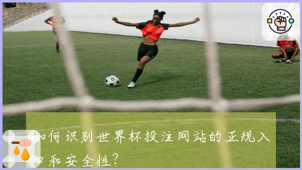如何识别世界杯投注网站的正规入口和安全性？