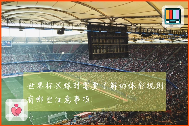 世界杯买球时需要了解的体彩规则有哪些注意事项