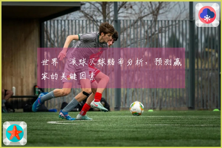世界盃滚球买球赔率分析，预测赢家的关键因素