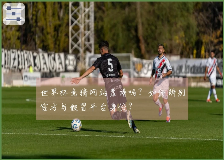 世界杯竞猜网站靠谱吗？如何辨别官方与假冒平台身份？