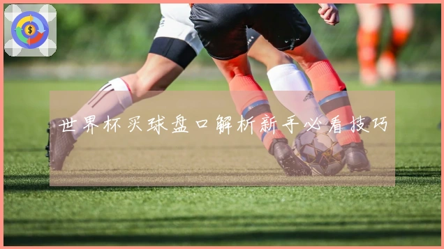 世界杯买球盘口解析新手必看技巧