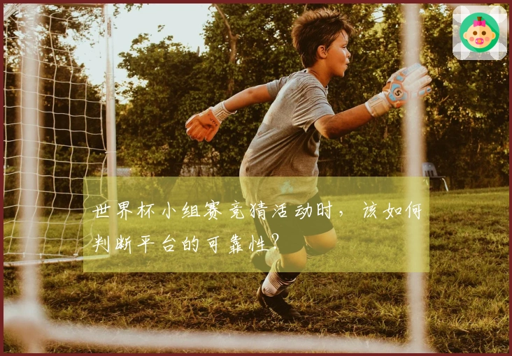 世界杯小组赛竞猜活动时，该如何判断平台的可靠性？