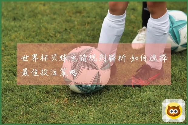 世界杯买球竞猜规则解析 如何选择最佳投注策略