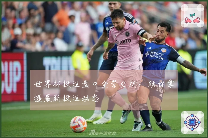 世界杯投注盘口全景分析，助你掌握最新投注动态