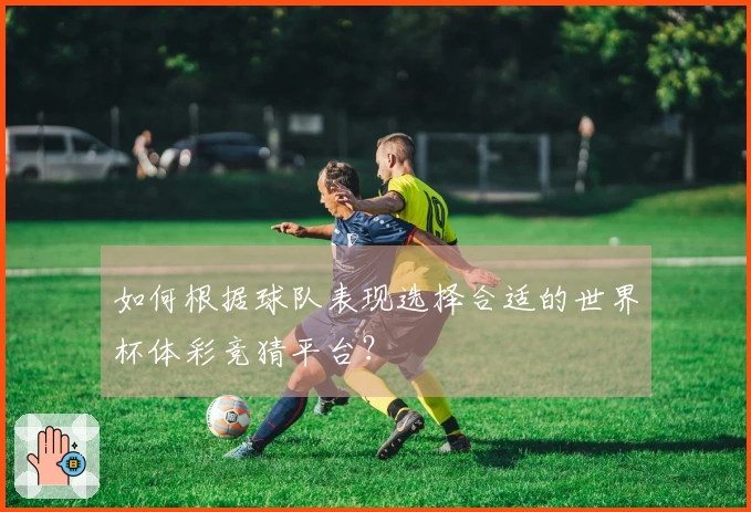 如何根据球队表现选择合适的世界杯体彩竞猜平台？