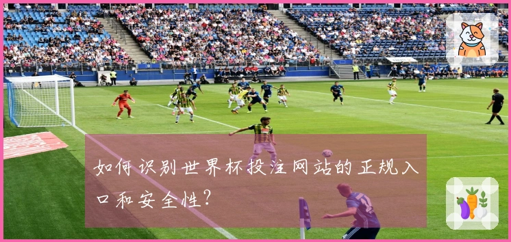如何识别世界杯投注网站的正规入口和安全性？