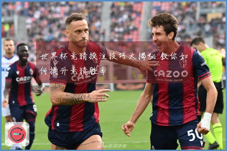 世界杯竞猜投注技巧大揭秘 教你如何提升竞猜胜率