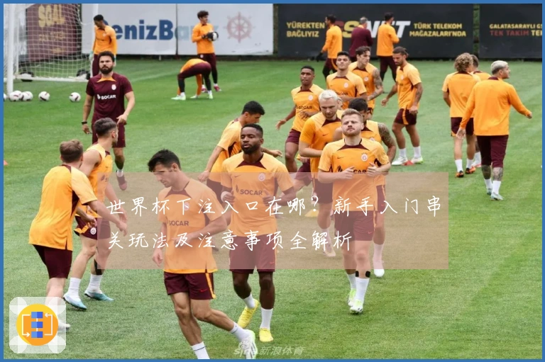 世界杯下注入口在哪？新手入门串关玩法及注意事项全解析