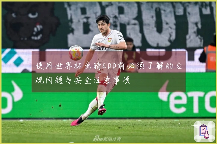 使用世界杯竞猜app前必须了解的合规问题与安全注意事项