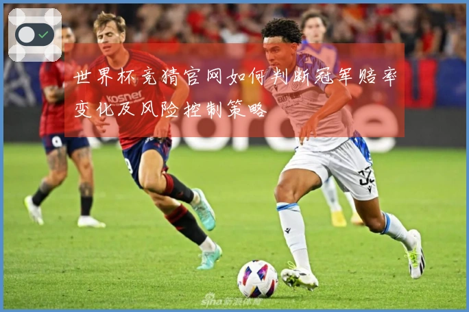 世界杯竞猜官网如何判断冠军赔率变化及风险控制策略
