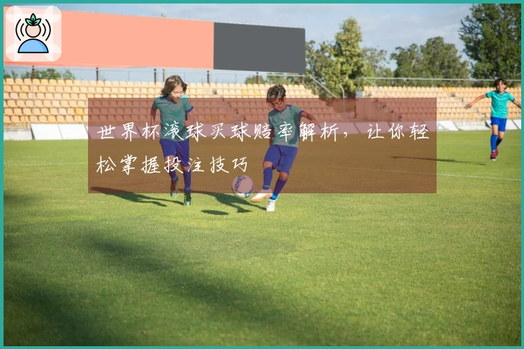 世界杯滚球买球赔率解析，让你轻松掌握投注技巧