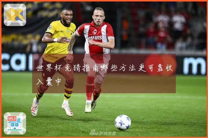 世界杯竞猜指南哪些方法更可靠收入囊中