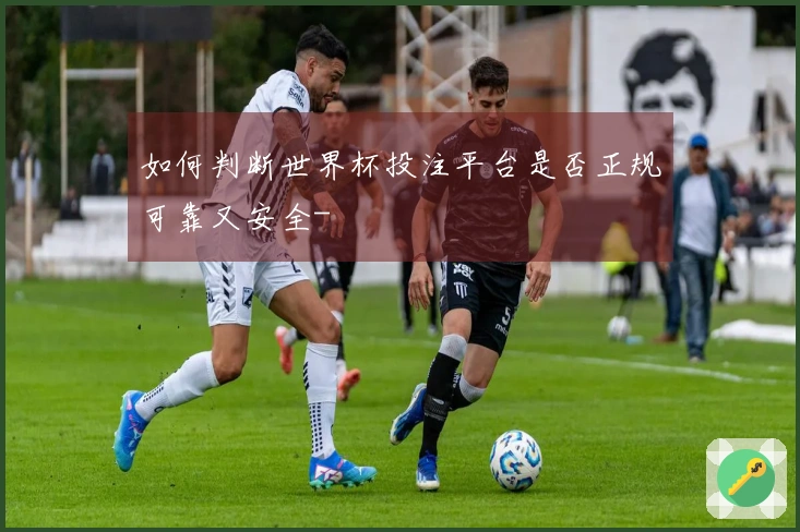 如何判断世界杯投注平台是否正规可靠又安全-