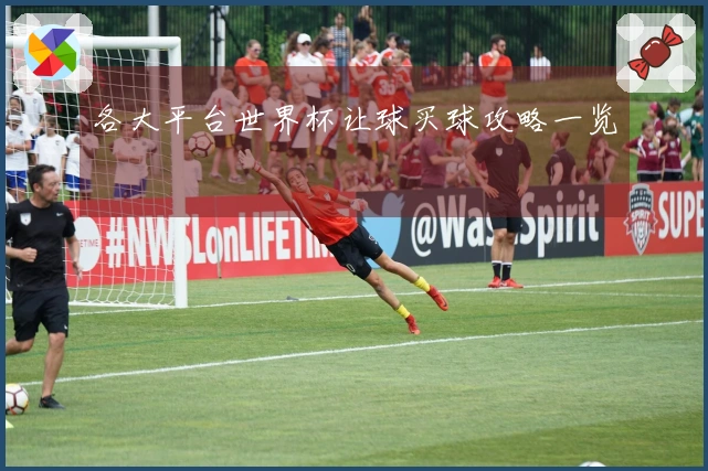 各大平台世界杯让球买球攻略一览