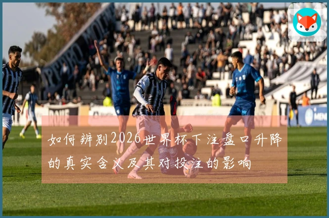 如何辨别2026世界杯下注盘口升降的真实含义及其对投注的影响