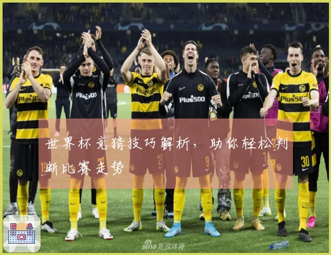 世界杯竞猜技巧解析，助你轻松判断比赛走势