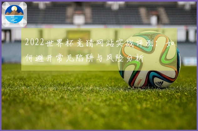 2022世界杯竞猜网站实战评测：如何避开常见陷阱与风险分析