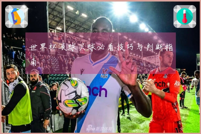 世界杯滚球买球必看技巧与判断指南